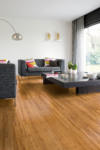 Arc Bamboo Champagne