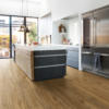 Quick-Step Pulse Hybrid Wild Spotted Gum