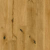 Nature’s Oak Timber Manor sample